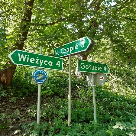 Kaszuby, Dom Kaszubski Nad Jeziorem Danielowa Dolina Szymbark  Exterior photo